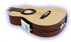 iCoustic Guitar