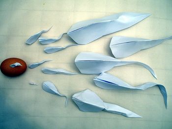 Origami Sperm